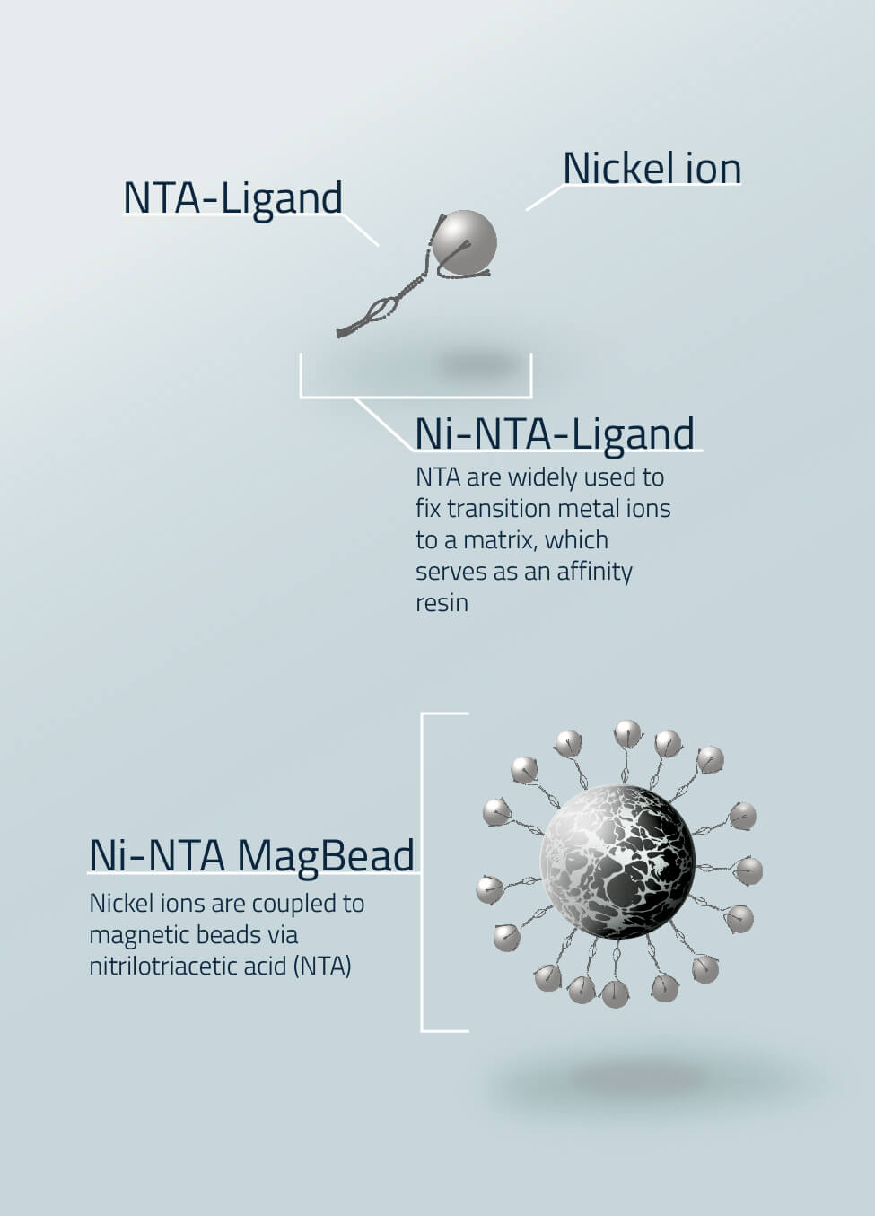 Ni-NTA Magentic Bead Scheme